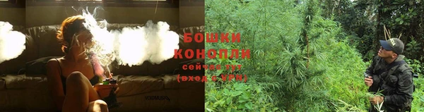 гидропоника Балабаново